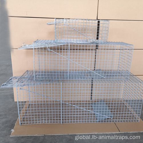 China New Arrival Hot Sale of Animal Trap Cage Factory